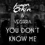Cover - Arman Cekin & Veorra - You Don't Know Me
