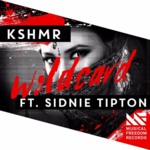 Cover - KSHMR - Wildcard (ft. Sidnie Tipton)