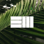 Cover - Bugus - Free Bird