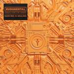 Cover - Rudimental, Charlotte Plank, Vibe Chemistry - Dancing is Healing