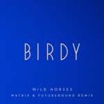 Cover - Birdy - Wild Horses (Matrix & Futurebound Remix)