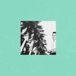 Cover - The Wild Wild - When We Were Young