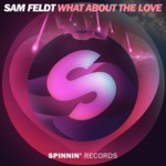 Cover - Sam Feldt - What About The Love