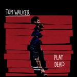 Cover - Tom Walker - Play Dead