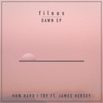 Cover - filous - How Hard I Try (ft. James Hersey)