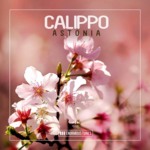 Cover - Calippo - Astonia