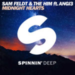 Cover - Sam Feldt & The Him - Midnight Hearts (ft. ANGI3)