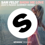 Cover - Sam Feldt - Show Me Love (EDX's Indian Summer Remix)