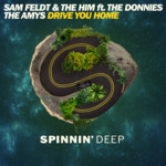 Cover - Sam Feldt & The Him - Drive You Home (feat. The Donnies The Amys)