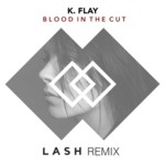 Cover - K. Flay - Blood In The Cut (Lash Remix)