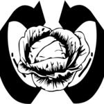 Cover - Cabbage Crew - The Return