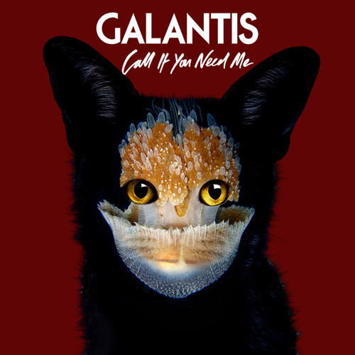 Cover - Galantis - Call If You Need Me