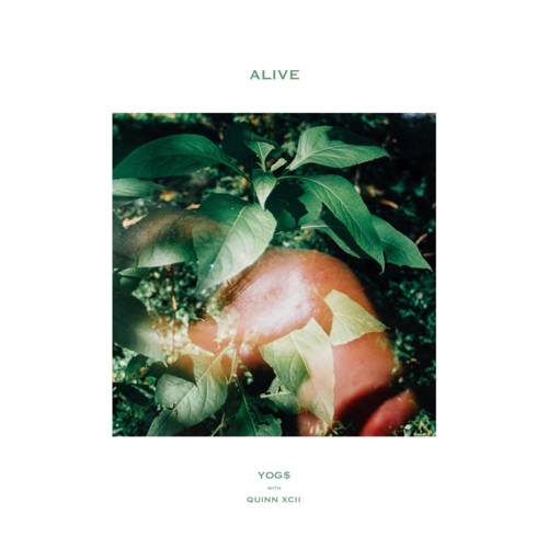 Cover - YOG$ - Alive (with Quinn XCII)