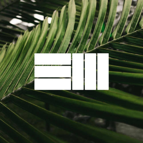 Cover - Bugus - Free Bird