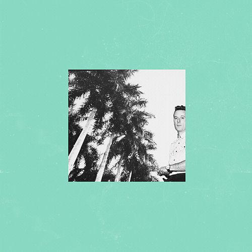 Cover - The Wild Wild - When We Were Young