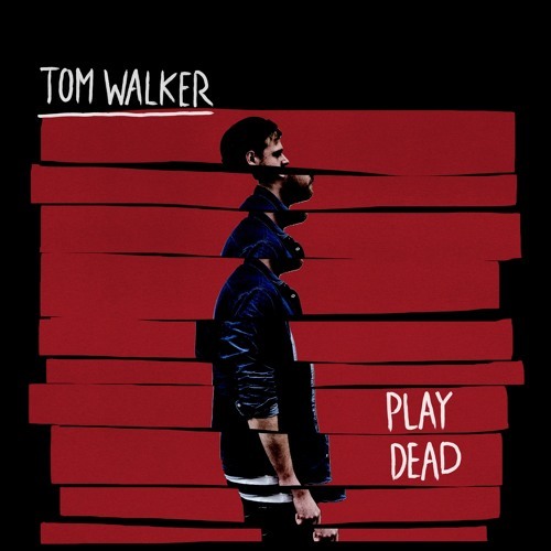 Cover - Tom Walker - Play Dead