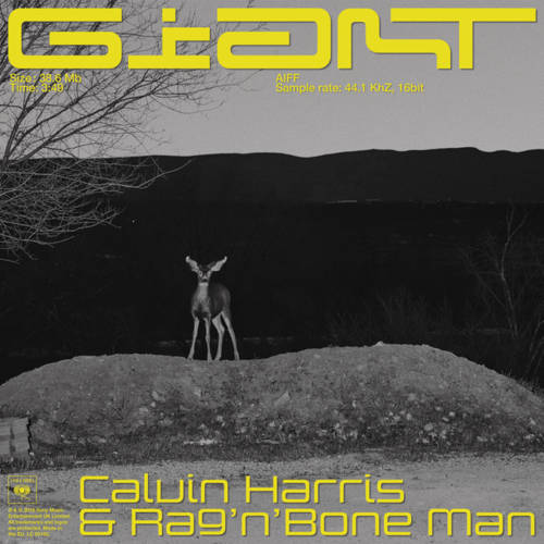 Calvin Harris & Rag'n'Bone Man - Giant