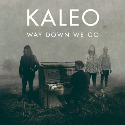 Cover - Kaleo - Way Down We Go