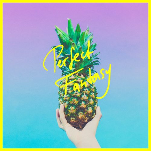 Cover - MIMO - Perfect Fantasy